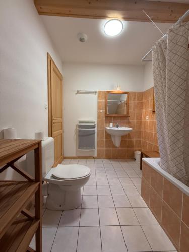 Le Chalet des Vanneaux في كسونبورت-لونجمير: حمام مع مرحاض ومغسلة