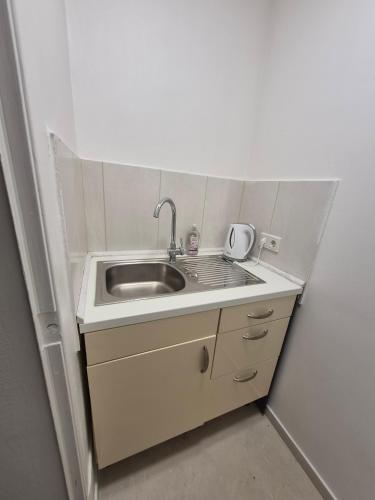 una piccola cucina con lavandino in camera di Cozy 2-bed Room With Kitchen a Rehlingen