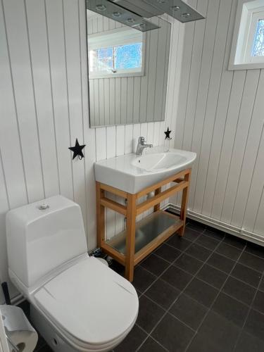 a bathroom with a white sink and a toilet at Villa Älva i Sälen in Sälen