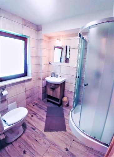 a bathroom with a toilet and a sink and a shower at Chatka Bukowina in Wetlina