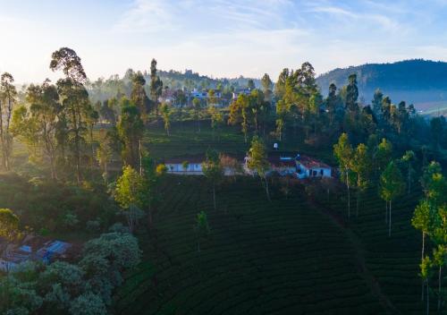 an aerial view of a farm in a field at Silver Dale Tea Estate Bungalow Ooty by VOYE HOMES in Ooty
