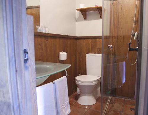 a bathroom with a toilet and a sink at La Quintana de Antón in Jomezana