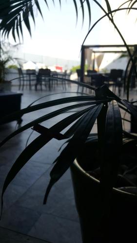 a plant in a glass bowl on a sidewalk at Bei Boutique Hotel in Muar