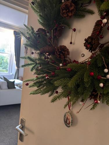 托基NEW stunning apartment by the sea in Torquay的房间的墙上有一棵圣诞树