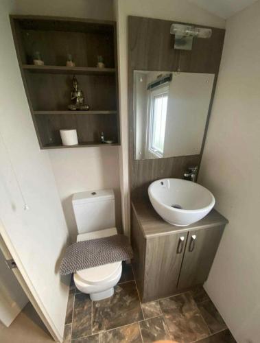 a small bathroom with a toilet and a sink at 16 orchid meadows in Ashington