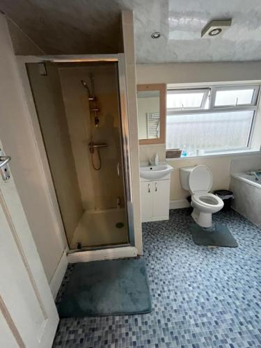 a bathroom with a shower and a toilet and a sink at spacious King bed 30FT Room in Kenton