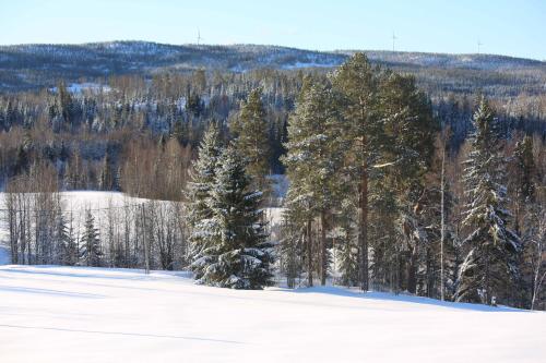 Lakeside House, Storstugan v zimě