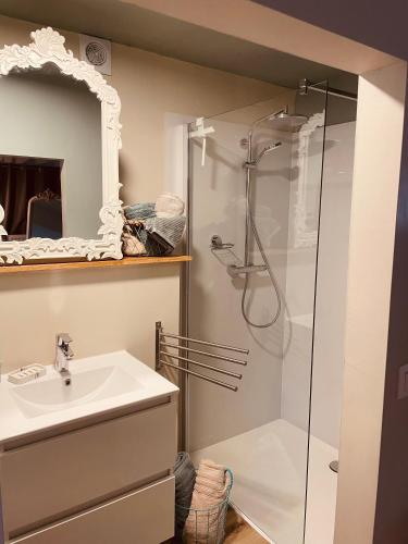 a bathroom with a shower and a sink at SkyNest in Namur