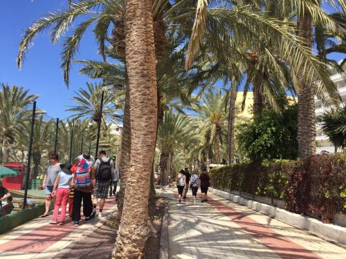 a group of people walking down a sidewalk next to palm trees at Cindy Golden Bay SeaView Terrace in El Guincho