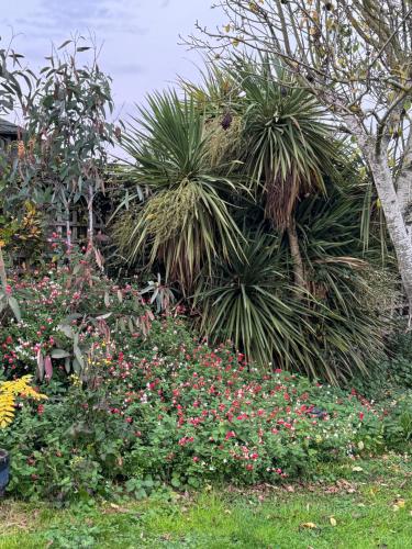 HoningtonPoets View - Studio in Honington, Suffolk的相册照片