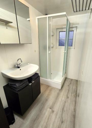 a bathroom with a sink and a glass shower at Hooglander rust, Boschaletje in Hattemerbroek