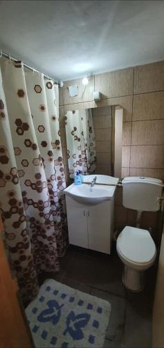 a small bathroom with a toilet and a sink at Svinista vilage in Kičevo
