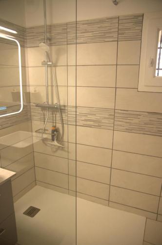 a shower with a glass door in a bathroom at Appartement Pont Royal vu lac in Mallemort