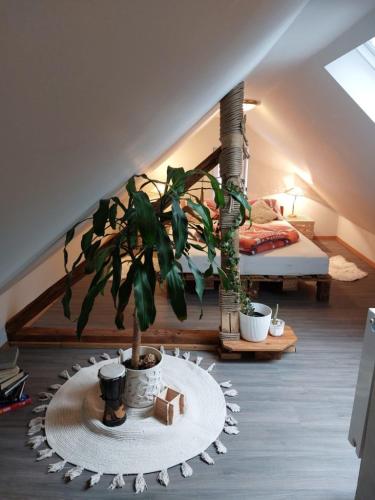 a room with a potted plant and a bed at Apartmány Arin in Jáchymov