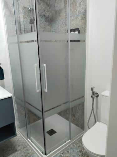 a glass shower in a bathroom with a toilet at Hostal el Ciervo in Burunchel
