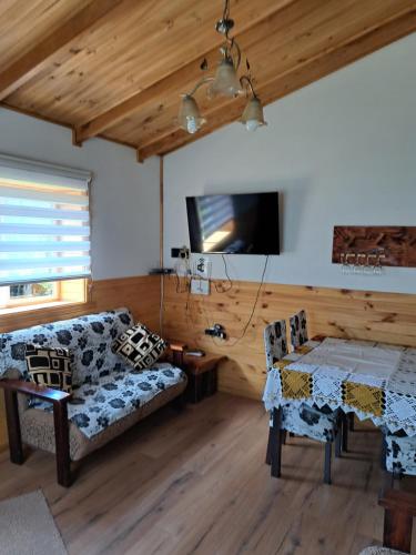 salon z kanapą i stołem w obiekcie Cabañas Robinson w mieście Puyuhuapi