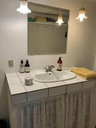 a bathroom with a sink and a mirror at Madam Bundsens Huse in Assens