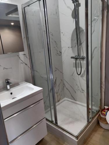 a bathroom with a shower and a sink at Petit chalet avec piscine privée in Lumbin