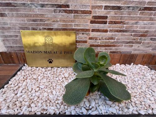 マラケシュにあるphilippe ayacheのギャラリーの写真