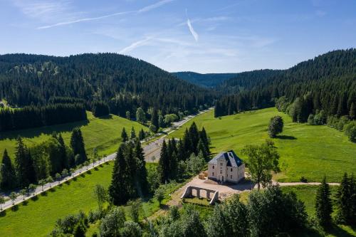 eine Luftansicht eines Hauses auf einem grünen Feld in der Unterkunft Alte Försterei Wildenthal in Eibenstock