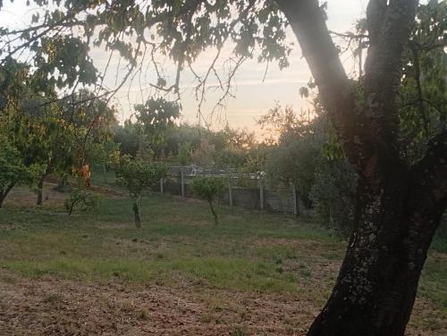 Giardino di TABERNA ROMANA VILLA OCA b&b