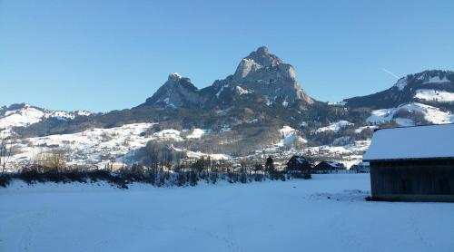 Γενική θέα στο βουνό ή θέα στο βουνό από  αυτό το διαμέρισμα