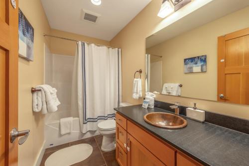 a bathroom with a sink and a toilet and a shower at Bluff View 30 Day in Hood River