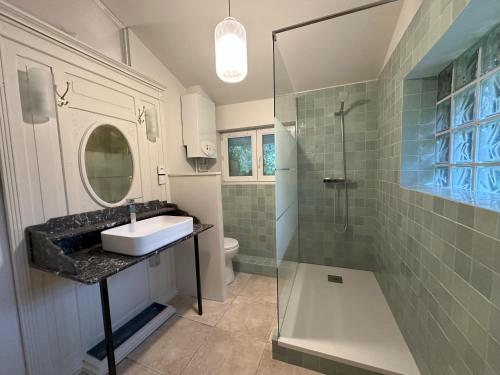 a bathroom with a sink and a shower at L'atelier au jardin in Strasbourg