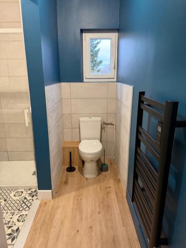 a small bathroom with a toilet and a window at Le Refuge de Raoul in Montier-en-Der