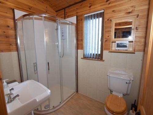 een badkamer met een douche, een toilet en een wastafel bij 3 Bed in Clyro BN314 in Rhos-gôch