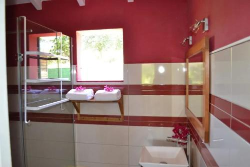 Maison confortable avec piscine à Goyave في Barbier: حمام بجدران حمراء ومغسلة ومرآة