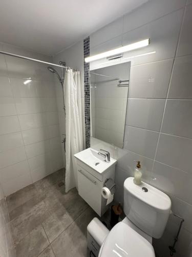 un bagno con un water bianco e un lavandino di ARSENIa COTTAGE a Kyperounda