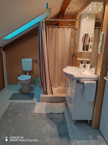 a bathroom with a toilet and a sink and a shower at Erdőalja-Padlástér in Jásd