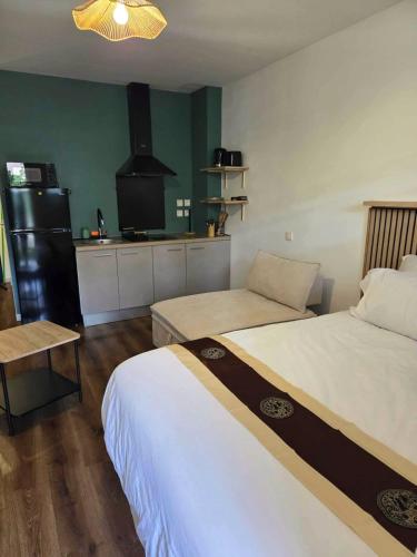 圣丹尼斯Sawadee Studio, meublé & jardin的客房设有两张床和带冰箱的厨房