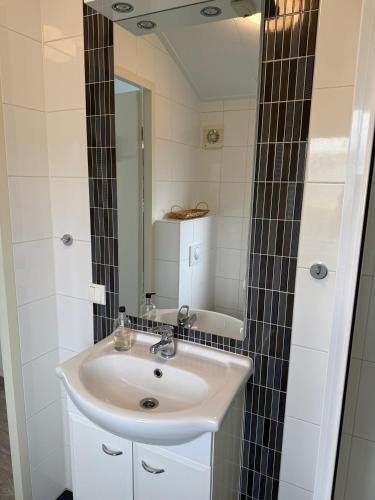 a bathroom with a sink and a mirror at Ferien-Chalet Oostkapelle in Oostkapelle