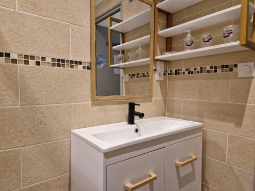 a bathroom with a sink and a mirror at Les Rives d 'Espalion in Espalion
