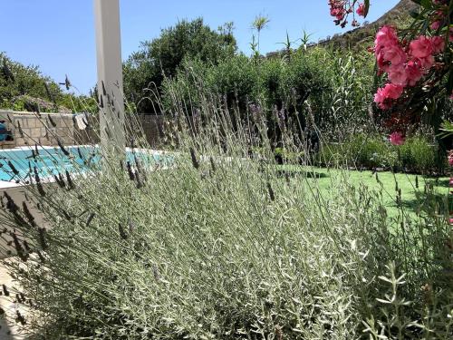 Πισίνα στο ή κοντά στο Villa with private pool close to the beach