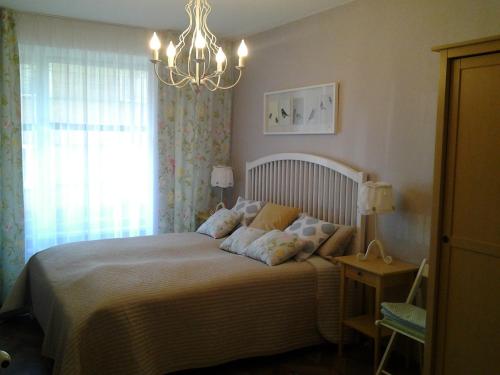 Gallery image of Luxury Apartment in Druskininkai