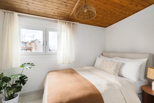 SkyLevel Boutique Suite - By Nuvia Domus