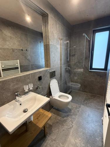 een badkamer met een wastafel, een toilet en een douche bij Apartmán Forest, Tatranská Štrba in Tatranska Strba
