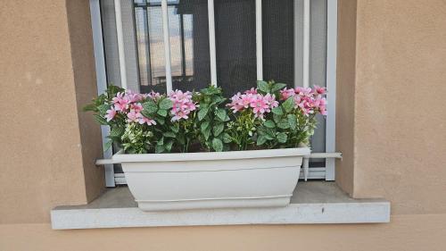 デセンツァーノ・デル・ガルダにあるAPPARTAMENTO LAKE GARDA ibiscus di Franciaのギャラリーの写真