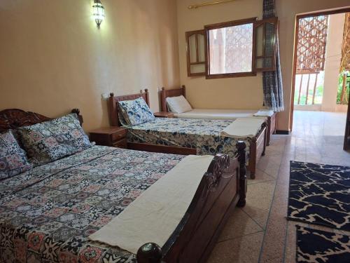 1 Schlafzimmer mit 3 Betten und einem Fenster in der Unterkunft Oasis de Tiout in Tiout