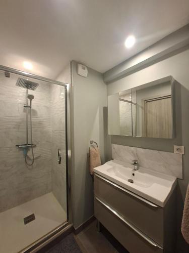 a bathroom with a sink and a shower at Le Refuge des Dunes in Bray-Dunes