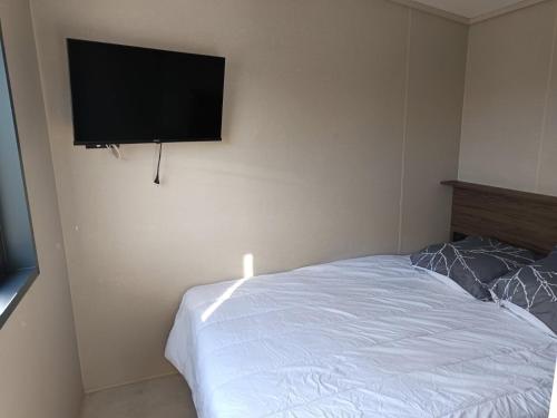 ein Schlafzimmer mit einem Bett und einem Flachbildfernseher an der Wand in der Unterkunft Tiny-housse in Peyrins