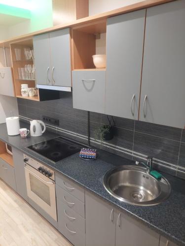 una cucina con un lavello e un piano di lavoro di Link Kauno marių... a Kaunas