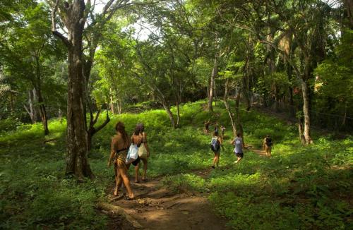 Imagine din galeria proprietății Estudio MAUDIE în Santa Teresa Beach