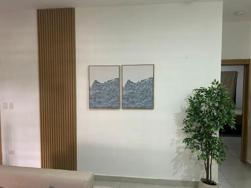 three pictures on a white wall with a plant at Villa de Philippe - Brisas de PC · 3BR House with private pool - Near downtown in Punta Cana
