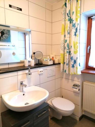 a bathroom with a sink and a toilet and a mirror at Appartement am Waldeck in Hauzenberg