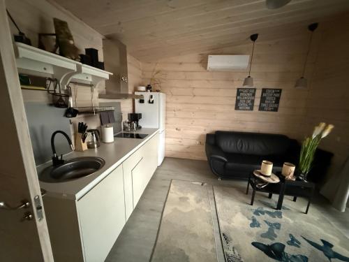 GaylyunayObuoliu Sala COZY HOUSE on the Apple Island的一个小厨房，里面有水槽和冰箱