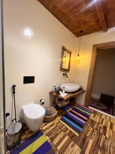 a bathroom with a toilet and a sink at Hathors Terrace Apartment in Luxor